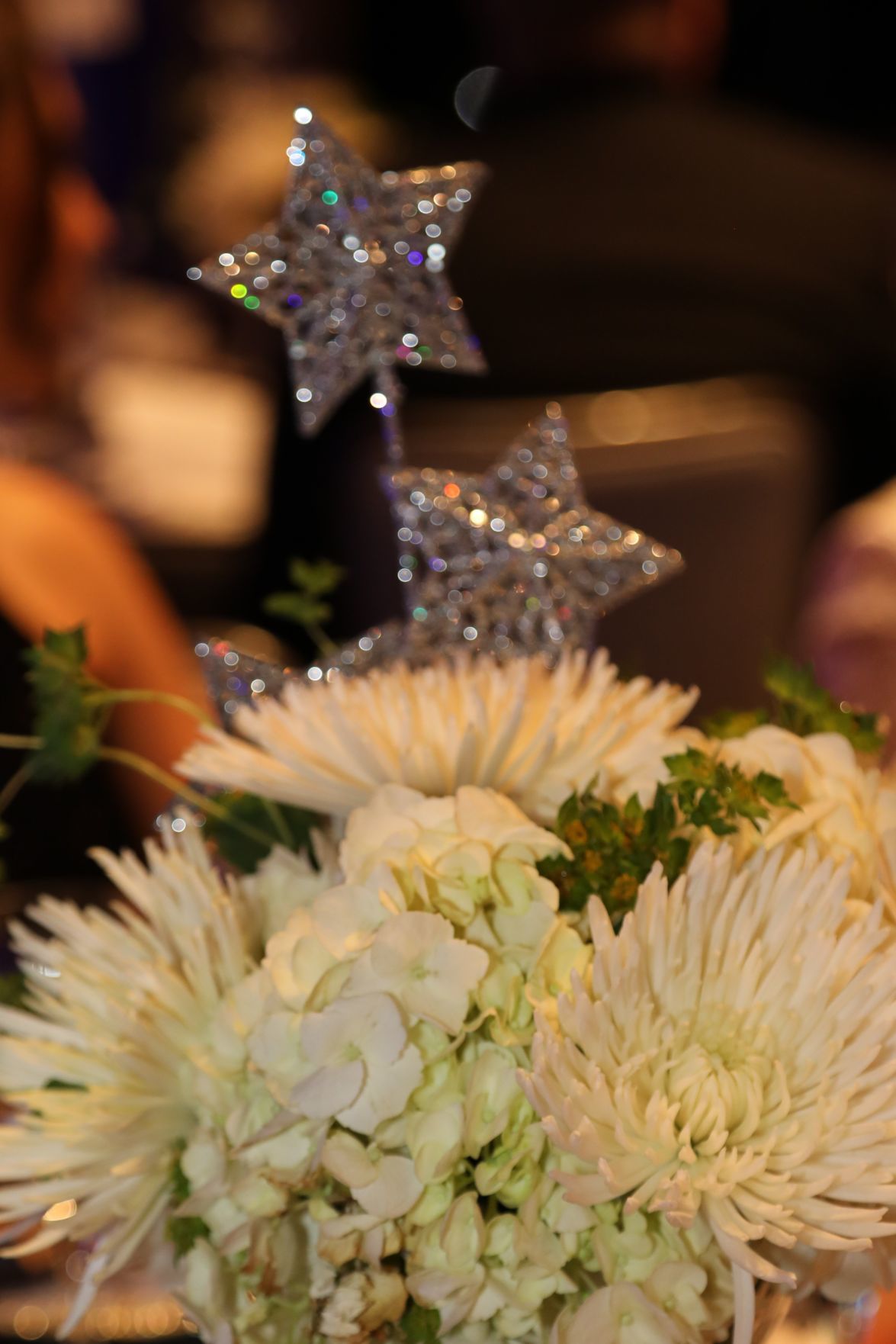 2019-Liver-Diamond-Gala-040.JPG